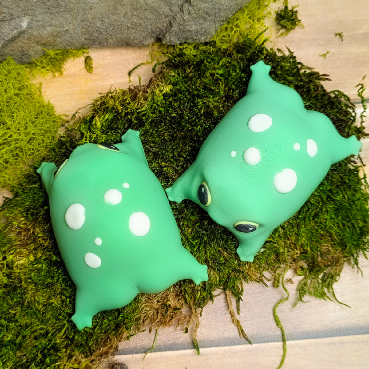 Top-down view of two blob frogs on moss, highlighting their white spot patterns and tiny foot placement from above.