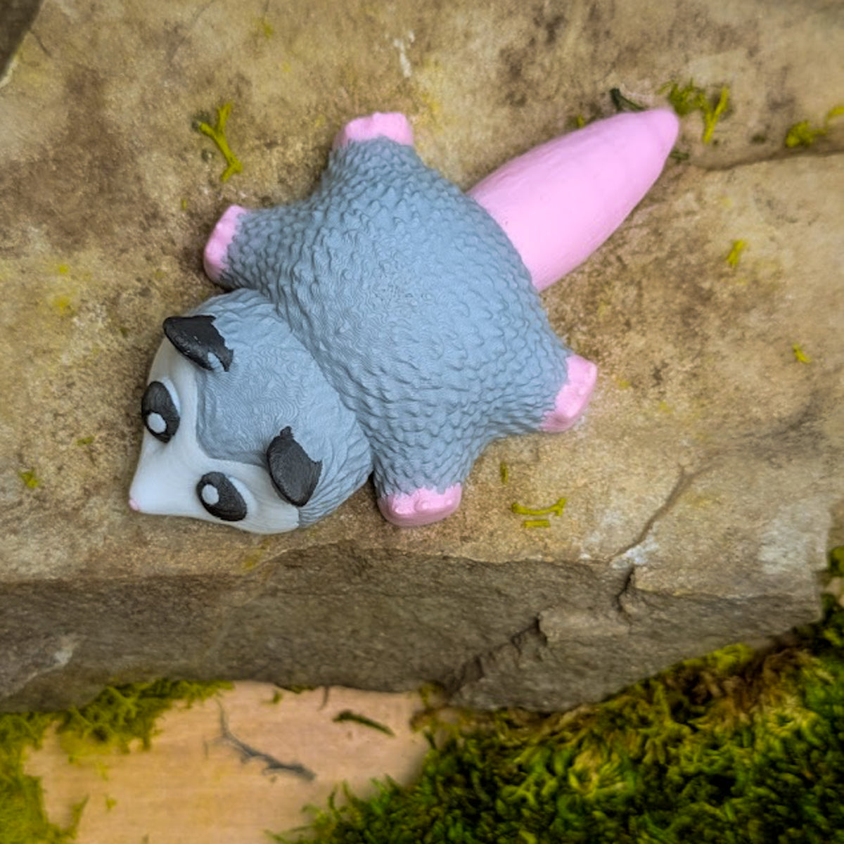Top-down view of the blob possum sprawled on a rock, highlighting its four pink feet, gray body texture, and curled pink tail.