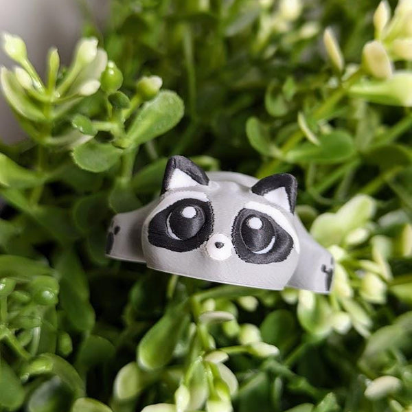 A blob raccoon peeks out from dense greenery, its big eyes staring upward with intense curiosity and a hint of chaos.