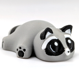 A small, fat raccoon with adorable eyes sits on a white background.