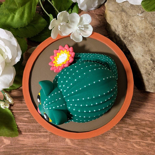 Top-down view of cactus cat in pot with pink flower, surrounded by white flowers and rock.