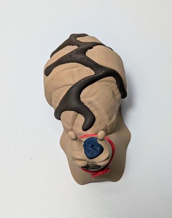 Top down view of Le Escargôutier™, highlighting the deliciously layered croissant shell and the luscious chocolate swirl along his back.