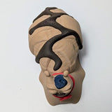 Top down view of Le Escargôutier™, highlighting the deliciously layered croissant shell and the luscious chocolate swirl along his back.