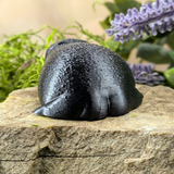Rear view of the frog figurine showing its rounded back and subtle texture, placed on a stone surface surrounded by moss and plants.