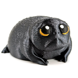 Depressed dumpling is a sad looking african rain frog. He looks like a sad avocado with his shiny black textured skin and huge yellow eyes.