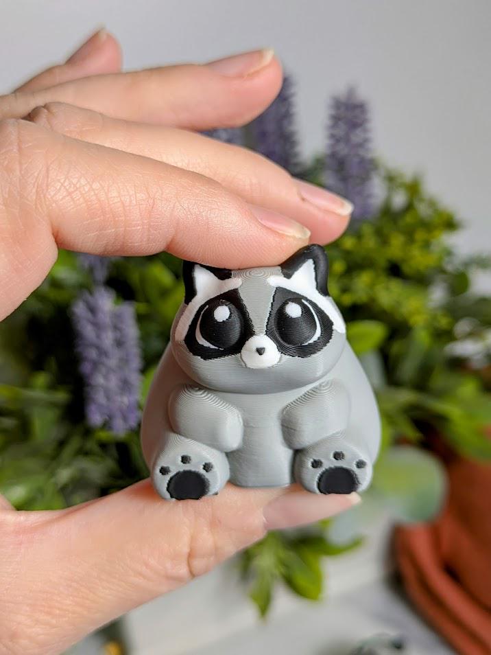 A close-up of the fat raccoon’s face — round eyes, tiny snout, and an expression that says “life is good.”