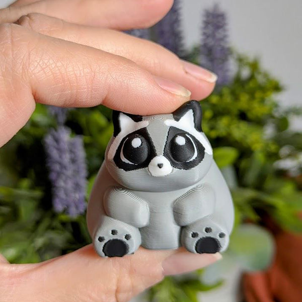 A close-up of the fat raccoon’s face — round eyes, tiny snout, and an expression that says “life is good.”