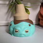 A front-facing mint chocolate chip frog with an upside-down cone hat and the energy of someone who knows they’re adorable.