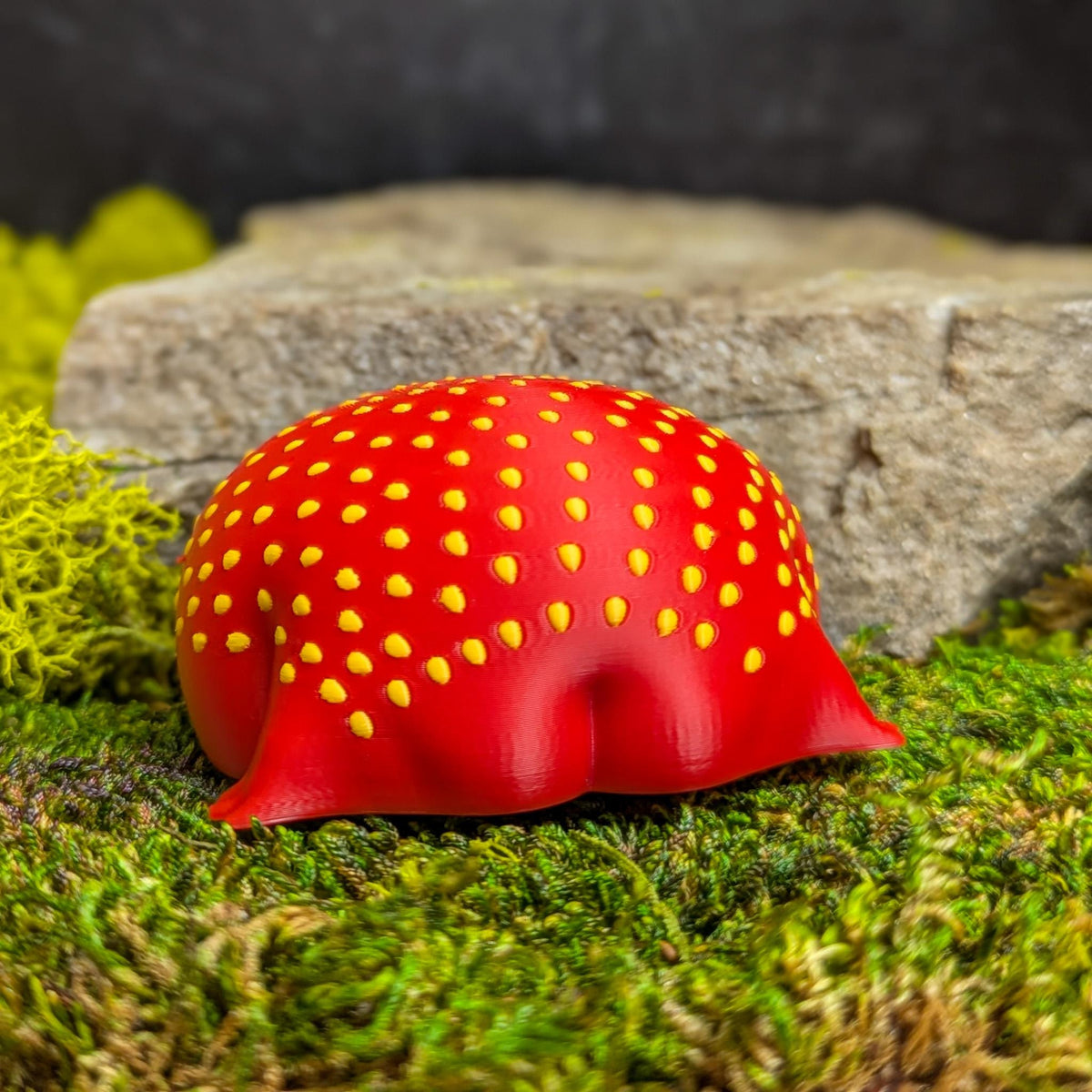 Back of the strawberry frog showing the green leaf cap and smooth round body with bum cheeks.