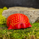Back of the strawberry frog showing the green leaf cap and smooth round body with bum cheeks.