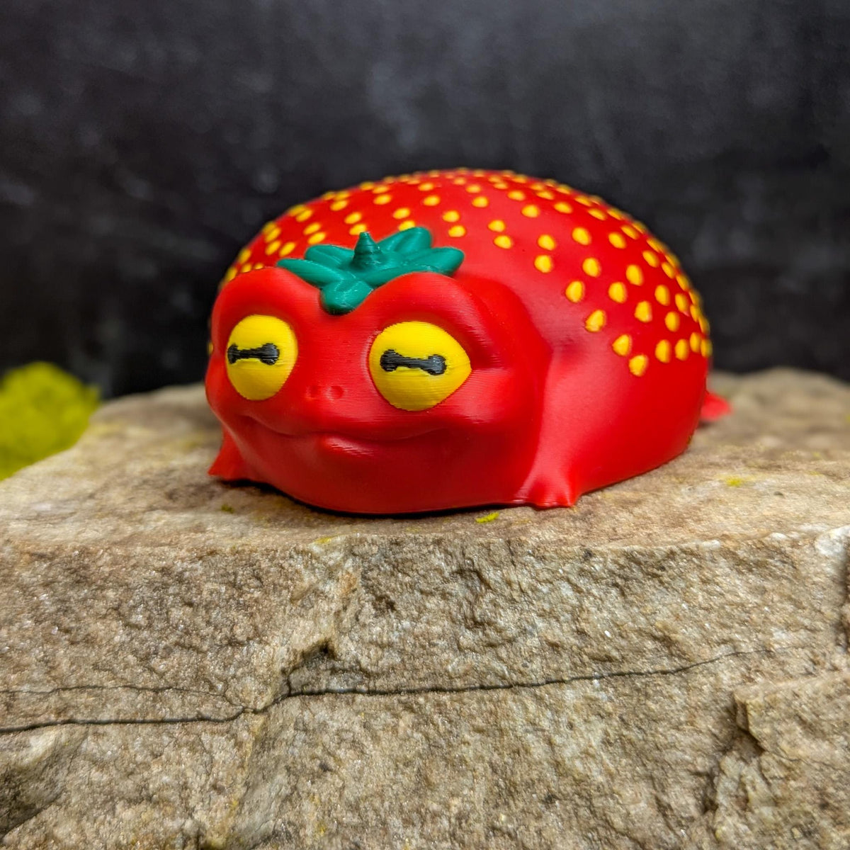 Close-up of the strawberry frog’s face and seed detailing on its back
