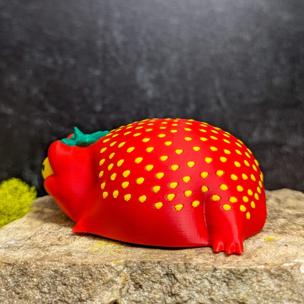 Side view of a small strawberry frog with a chonky body and relaxed expression