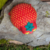 Top view of the strawberry frog showing yellow seeds and leaf detail on its head