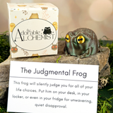 The Judgmental Frog toy with packaging and paper description card on a natural background