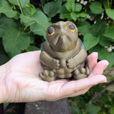 Angled view of large Judgmental Turtle™ in hand, showing face and body texture.