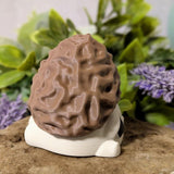 Alternate side view of mushroom figure with focus on cap texture and curved base.