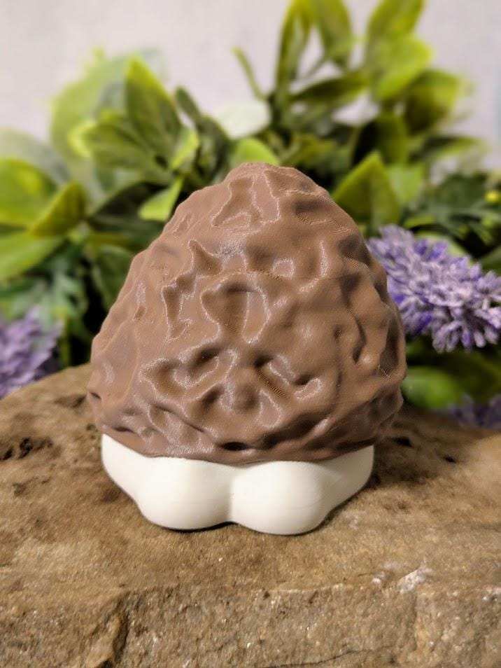 Back view of mushroom figure showing layered morel cap and rounded white base.