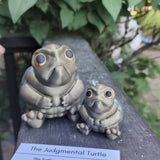 judgmental-turtle-thumb