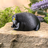 Full left profile of the textured black frog figurine, seated on a stone slab with greenery in the background.