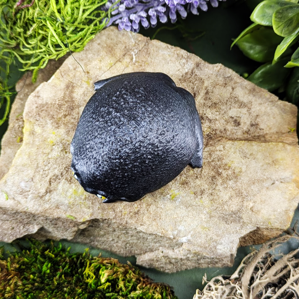 Top-down view of a glossy black rainfrog figurine showing its rounded back and wide body, placed on a rock.