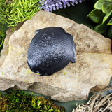 Top-down view of a glossy black rainfrog figurine showing its rounded back and wide body, placed on a rock.