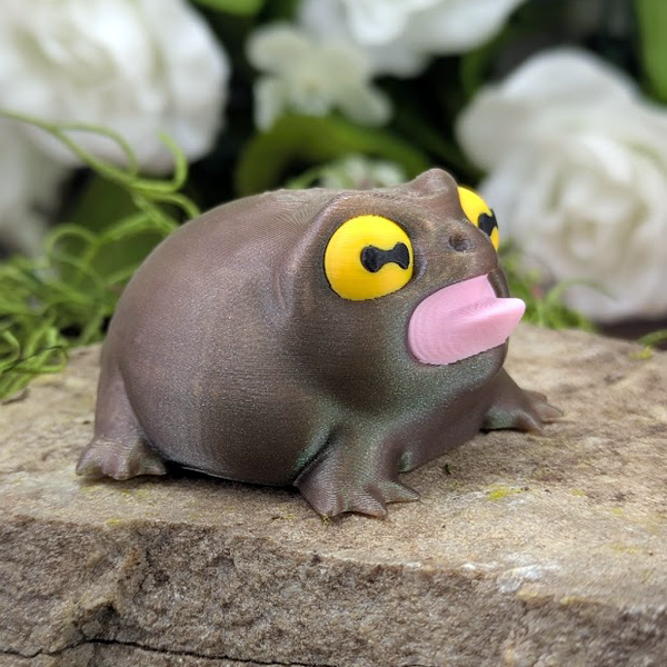 Right side angle of the Screaming Frog showing the full curve of its body and dramatic face, perched on a textured rock.