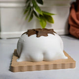 A marshmallowy frog figurine with chocolate drips on its back sits atop a textured graham cracker base, facing backwards with tiny frog feet peeking out.