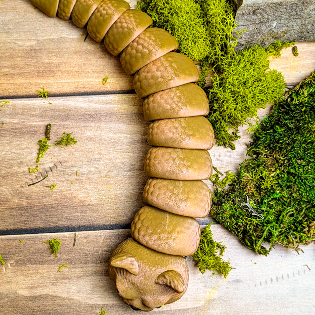 Top-down view of the Snat figurine fully extended on a wooden surface, with its sparkly brown scales and cat head resting near green moss.