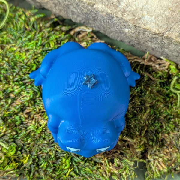 Top-down view of Blueberry Frog highlighting its blueberry-shaped body and stem detail.