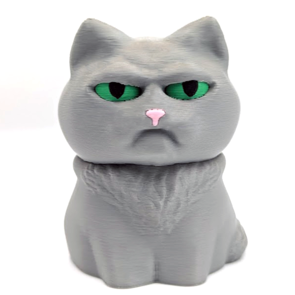 A very judgmental looking cat sits on a white background. The cat is gray with bright green eyes and an expression of utter disdain.