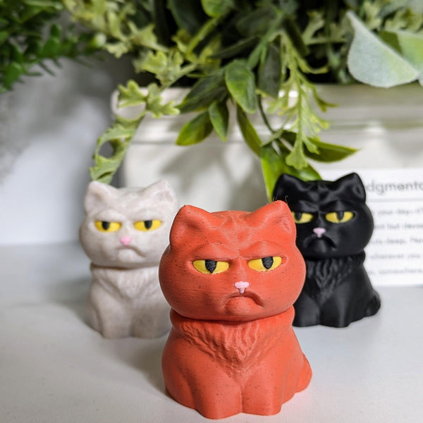 An orange Judgmental Cat takes center stage, flanked by a black cat and a cream one, all looking unimpressed in front of leafy greenery.