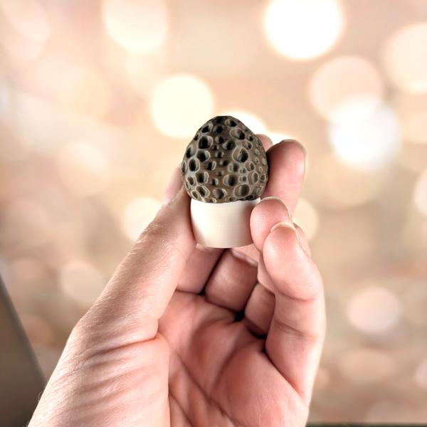 Single morel mushroom game piece in hand, showing the realistic ridged cap and scale.