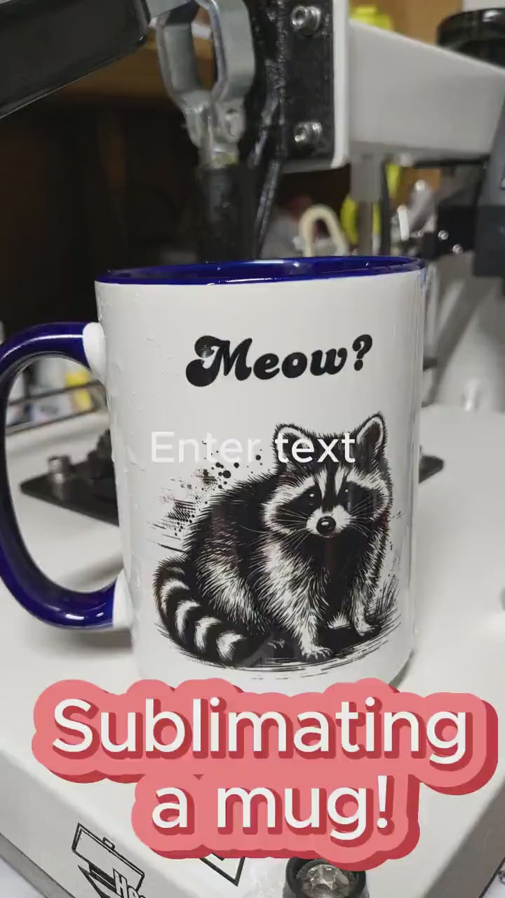 Raccoon Mug Meow? Funny Meme Gift for Raccoon Lover Trash Panda Ironic Mug Local Street Cat Coffee Cup Sarcastic Mug Absurd Humor Mug