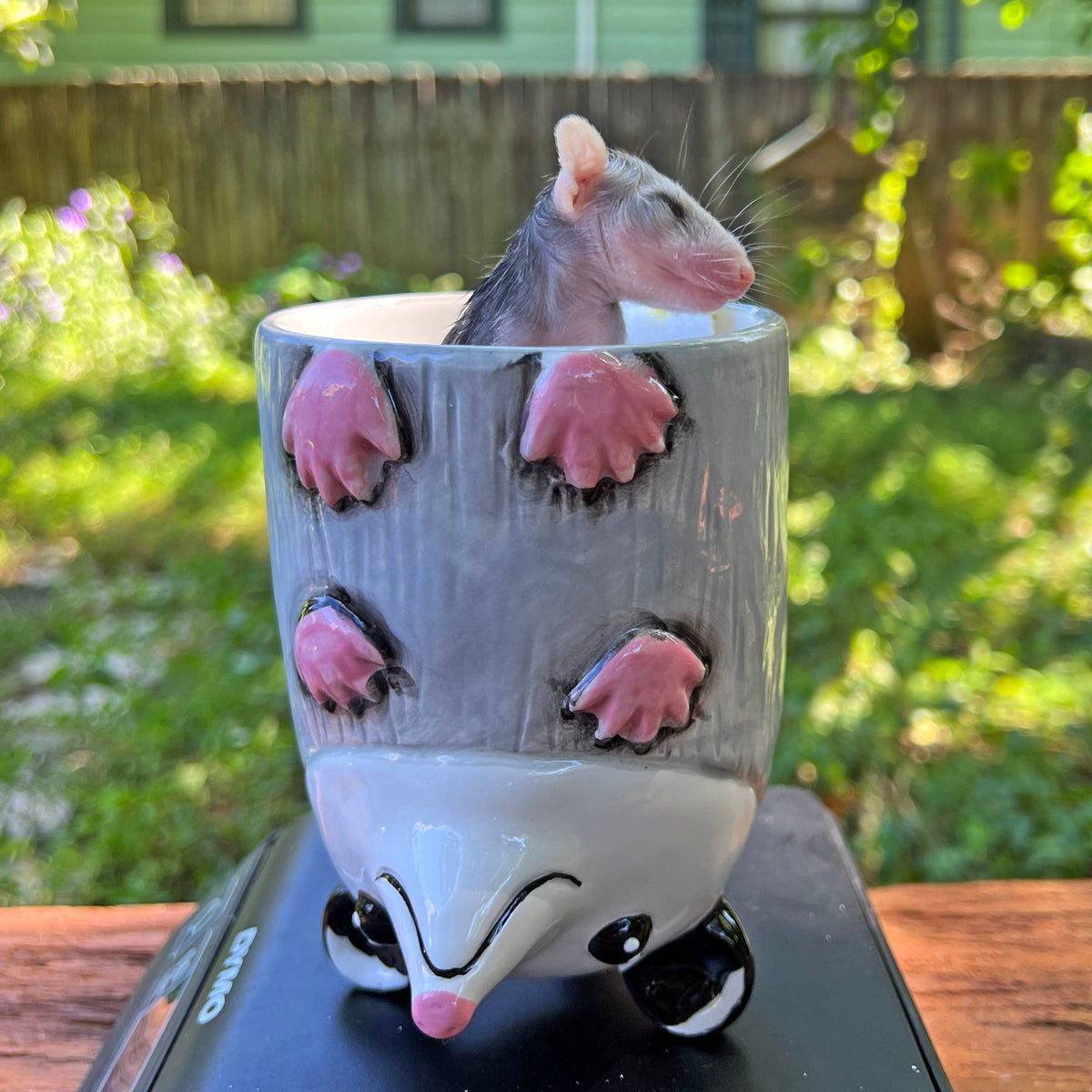 Small baby possum peeking out from a possum-themed ceramic cup on a wooden surface with a garden background.