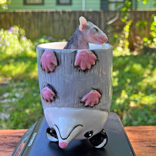 Small baby possum peeking out from a possum-themed ceramic cup on a wooden surface with a garden background.