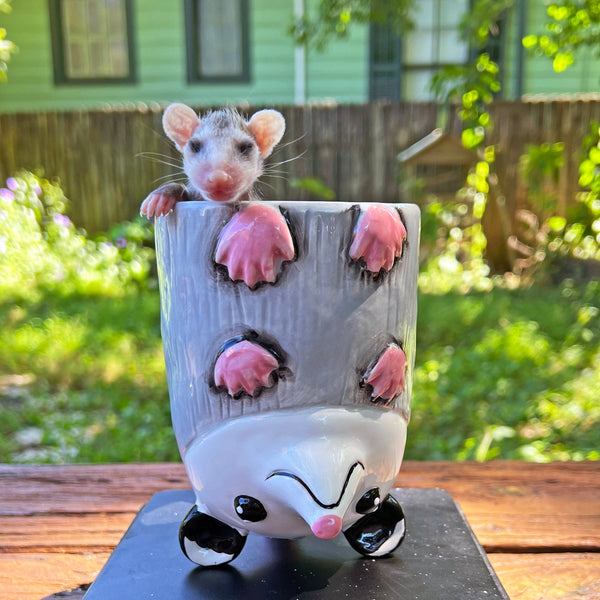Small baby possum peeking out from a possum-themed ceramic cup on a wooden surface with a garden background.