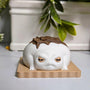 Front-facing close-up of a frog figurine styled like a s’more, with big eyes and a chocolate accent on its back, sitting neatly on a graham base.